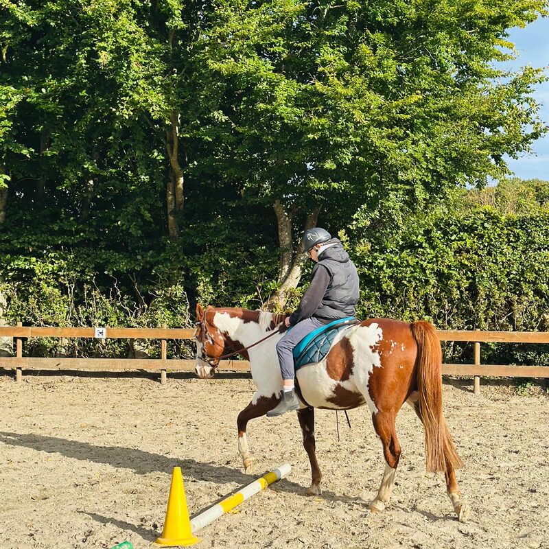 Einzeltherapie mit Olaf