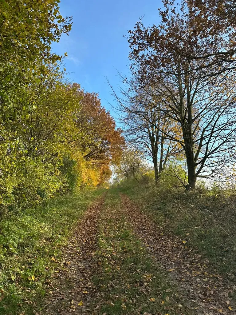 Schöne Wege