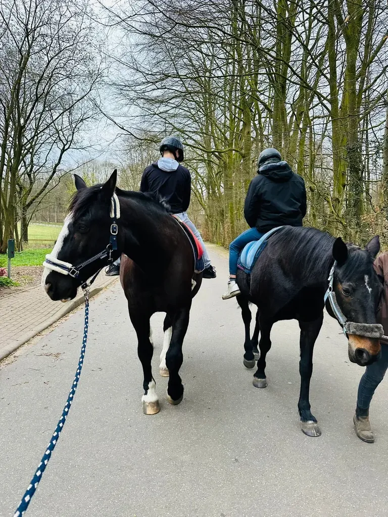 Rückwärts reiten