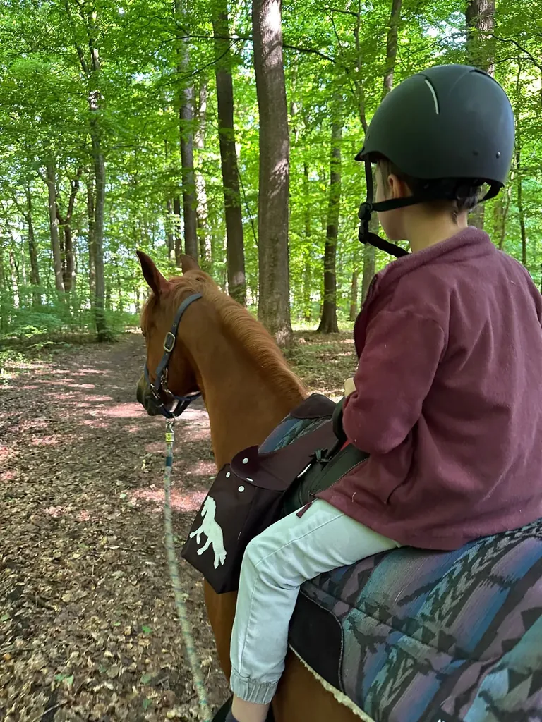Therapie in der Natur