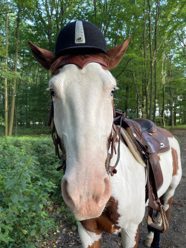 Kind mit Helm auf Olaf