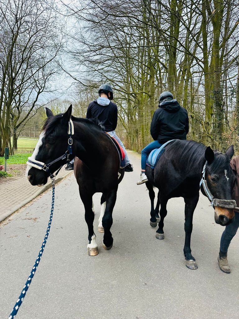 Rückwärts Reiten